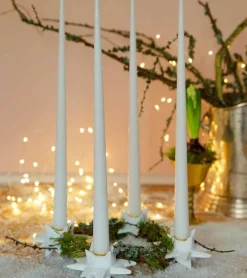 Adventsstage med fletstjerner fra Medusa