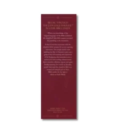 Amplified Holy Bible, Large Print, Hardcover
