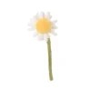 Bamse, Daisy, Hvid
