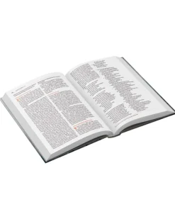 Bibelen på Hverdagsdansk, Hardback, TEEN