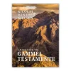 Læseguide til Gammel Testamente