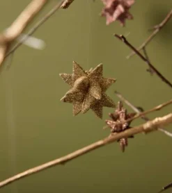 Medusa, Stjerne ophæng med glimmer, Guld