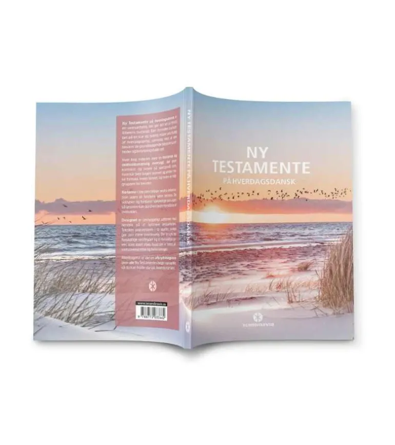 Ny Testamente på hverdagsdansk, strand
