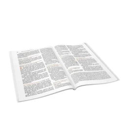 Ny Testamente på hverdagsdansk, strand