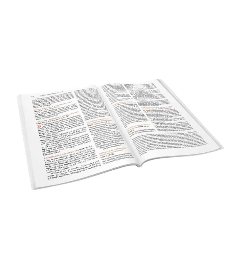 Ny Testamente på hverdagsdansk, strand