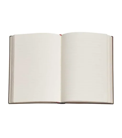 Paperblanks, Milan Cathedral, Midi, Linjeret