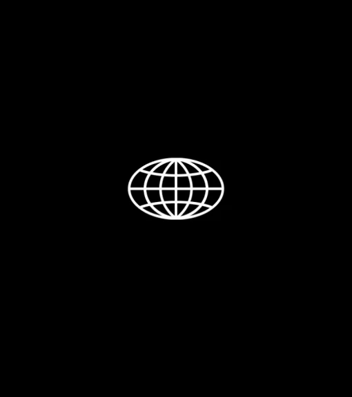 T-shirt: The World, Sort